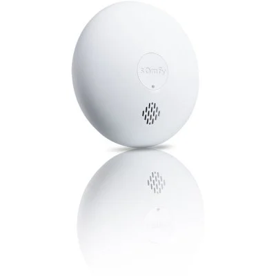 Accessoire pour alarme Somfy Protect Pour Home Alarm One One+