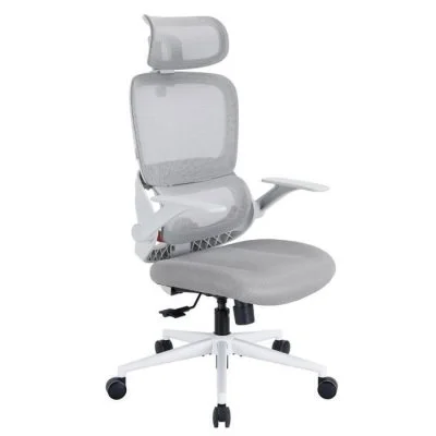 B100 SE Chaise de Bureau Ergonomique, Soutien Lombaire, Accoudoirs Rabattables, Blanc