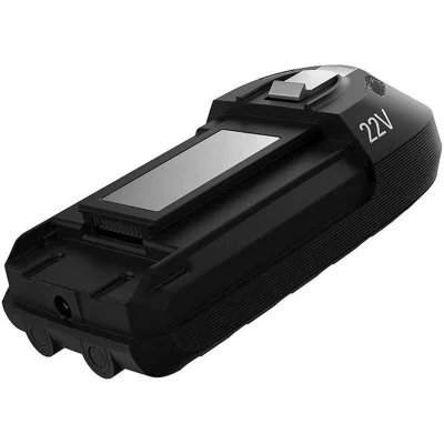 Batterie Rowenta Xforce Flex 22V Lithium-ion ZR009700 Noir