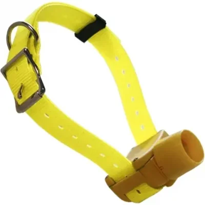 Canibeep Collier supplémentaire Radio Pro