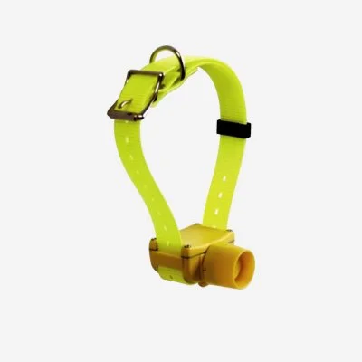 CaniBeep Pro - Sonnaillon électronique pour chien Canicom