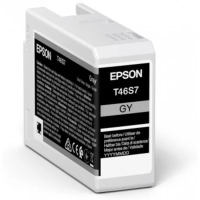Cartouche d'encre Epson T46S7 25 ml Gris anthracite
