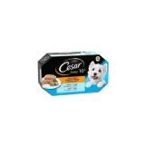 CESAR 24 Barquettes en gelée 4 variétés pour chien senior 150g (6x4)