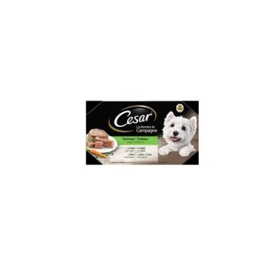 Cesar 24 Barquettes En Terrine 4 Variétés Pour Chien 150g (6x4)