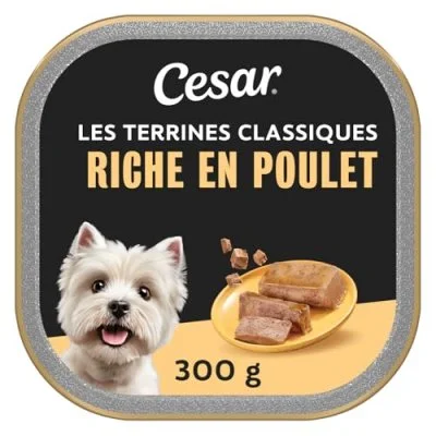 Cesar Barquette En Terrine Au Poulet - Pour Chien Adulte - 300 G X20