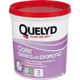 QUELYD Colle revêtements pour murs et plafonds 1kg