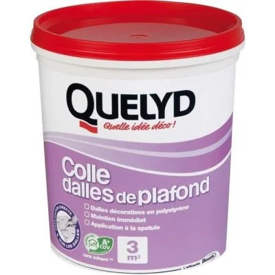 Colle revêtements pour murs et plafonds 1kg Quelyd