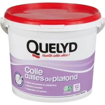 Colle revêtements pour murs et plafonds 4kg Quelyd