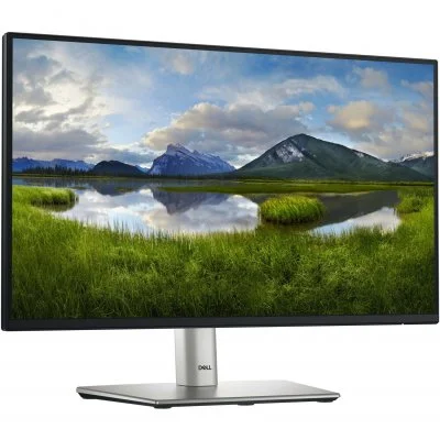 Dell 22 monitor DELL-P2225H