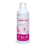 EAFIT L-carnitine drink sport eténergie flacon de 500ml