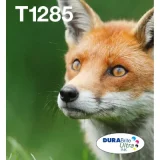 EPSON Multipack 4-colours T128 EasyMail