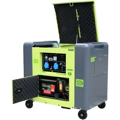 Générateur électrique Diesel insonorisé Type Panda Groupe électrogène 5.5kW 230V