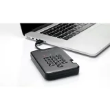 ISTORAGE IS-DAP2-256-SSD-1000-C-G Disque Flash SSD externe 1 To