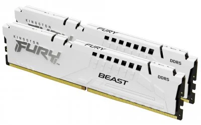 Kingston FURY KF560C30BWEK2-32, Mémoire vive