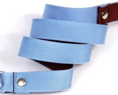 Laisse pour chien Martin Sellier M