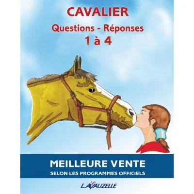 Lavauzelle Deg 1 1-4 Questions&answers Book Doré