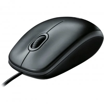 Logitech B100 - souris - USB - noir