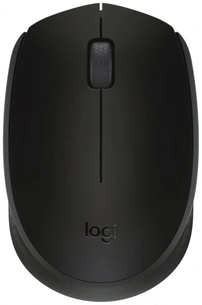 Logitech M171 - souris - 2.4 GHz - noir