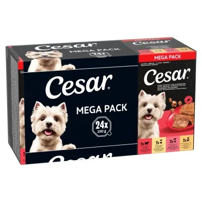 Lot Cesar 24 x 150 g pour chien - Les terrines classiques