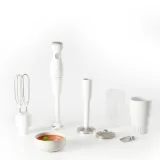 MOULINEX Mixeur Plongeant Ddg 25110
