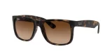 RAY BAN Ray-Ban Lunettes de Soleil Homme RB4165 Ecaille,Orange