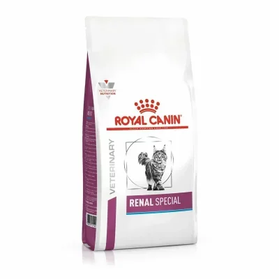 Royal Canin Renal Special Adult 400 G Cat Food Multicolore <500 g