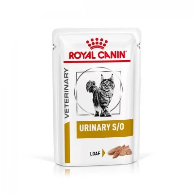 Royal Canin Urinary S/o Pate 85g Wet Cat Food 12 Units Multicolore