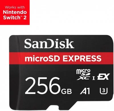 SanDisk Express - Carte mémoire flash - 256 Go - microSDXC UHS-I