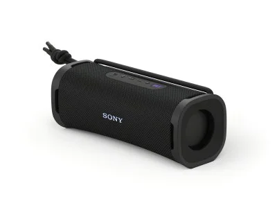Sony Enceinte portable sans fil Sony Bluetooth ULT Field 1 Noir Noir