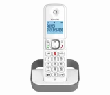 ALCATEL Téléphone sans fil F 860 Solo Gris