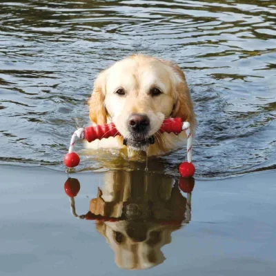Trixie Dog Activity Mot-Long Flottant 20 cm - Coloris aléatoire