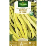 VILMORIN - Haricot Merveille Venise Vl 2 a Rame Mangetout Beurre