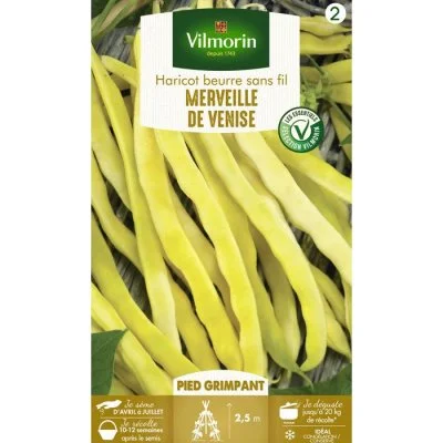 Vilmorin - Haricot Merveille Venise Vl 2 a Rame Mangetout Beurre