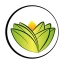 Logo The Ayurveda Experience