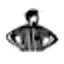 Logo Foot Locker