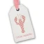 Logo Little Crevette
