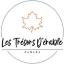 Logo Les Trésors d'Erable