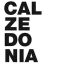 Logo Calzedonia
