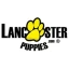 Logo Lancaster