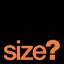Logo Size?