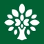 Logo Natural Mojo