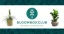 Logo Bloombox Club