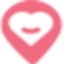 Logo Max-geoloc