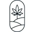 Logo Nature & CBD