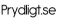 Logo Prydligt