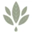 Logo Creamhigh 