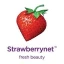 Logo StrawberryNET