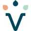 Logo VTF
