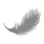 Logo BETTENRID