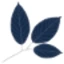 Logo PHYTO